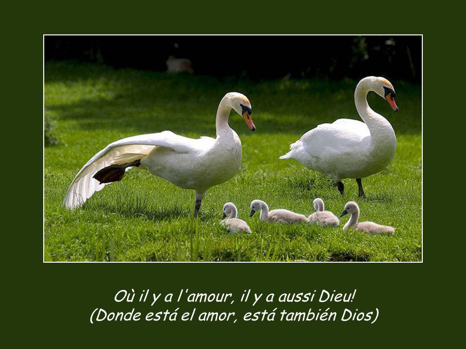 Où il y a l amour, il y a aussi Dieu