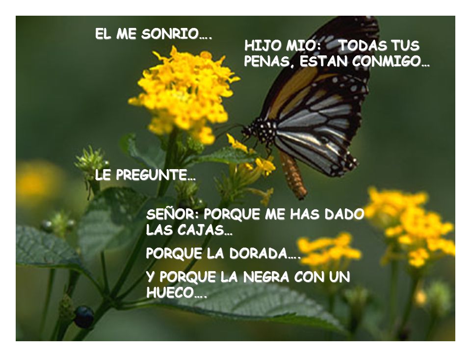 EL ME SONRIO…. HIJO MIO: TODAS TUS PENAS, ESTAN CONMIGO… LE PREGUNTE… SEÑOR: PORQUE ME HAS DADO LAS CAJAS…