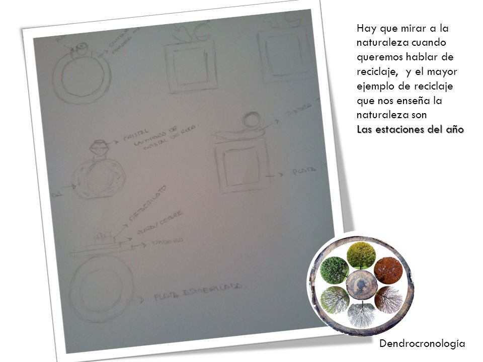 Hay que mirar a la naturaleza cuando queremos hablar de reciclaje, y el mayor ejemplo de reciclaje que nos enseña la naturaleza son