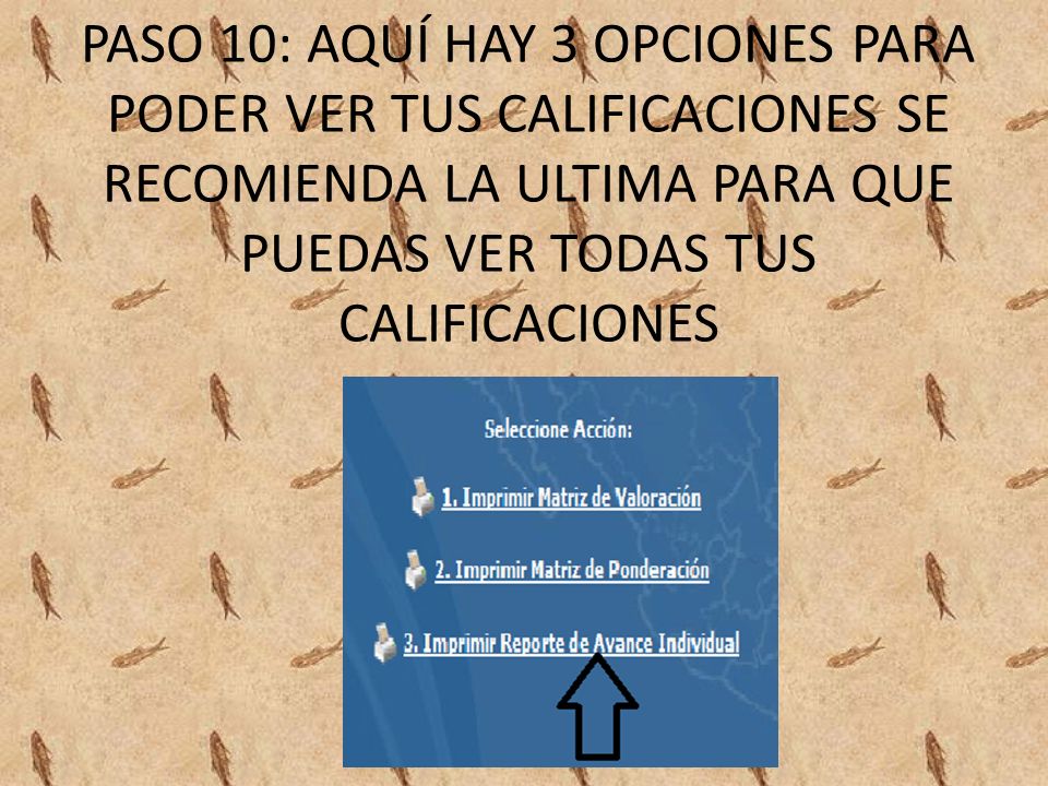 PASO 10: AQUÍ HAY 3 OPCIONES PARA PODER VER TUS CALIFICACIONES SE RECOMIENDA LA ULTIMA PARA QUE PUEDAS VER TODAS TUS CALIFICACIONES