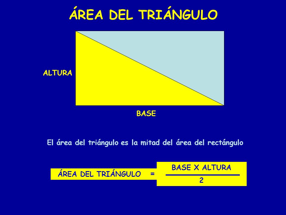 El área del triángulo es la mitad del área del rectángulo