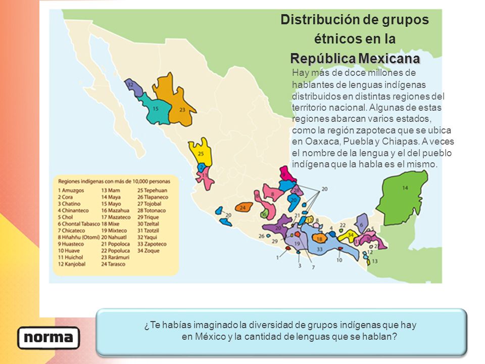 Distribución de grupos