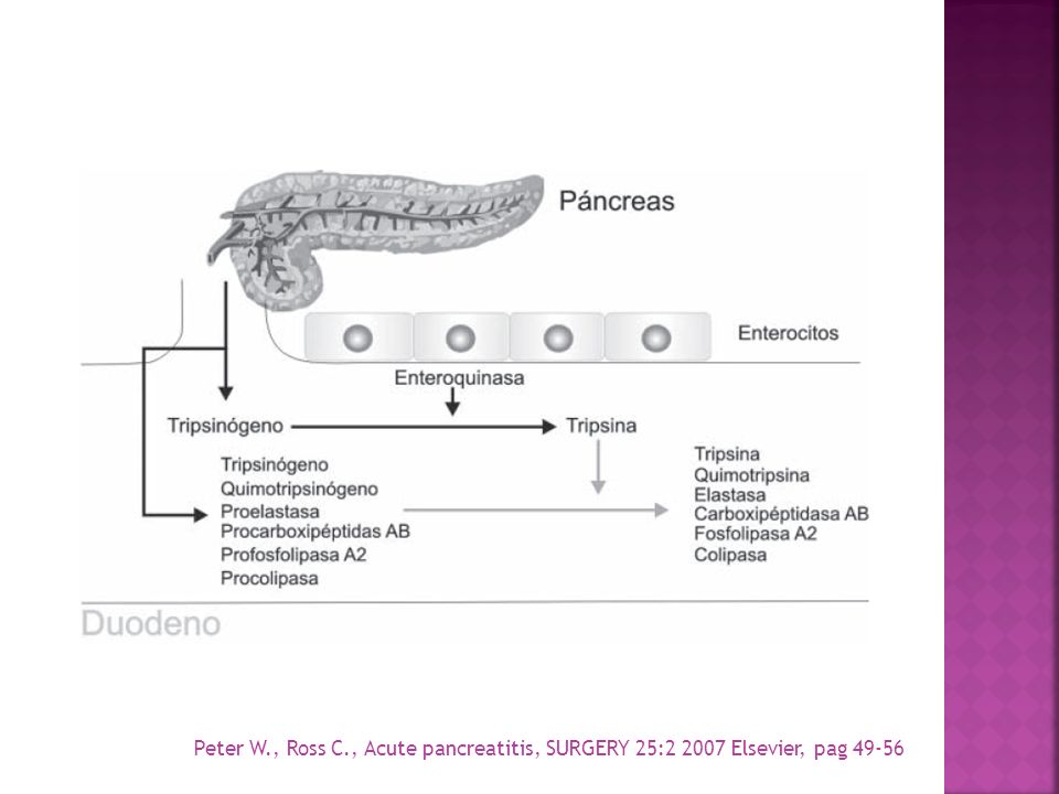 Peter W., Ross C., Acute pancreatitis, SURGERY 25: Elsevier, pag 49-56