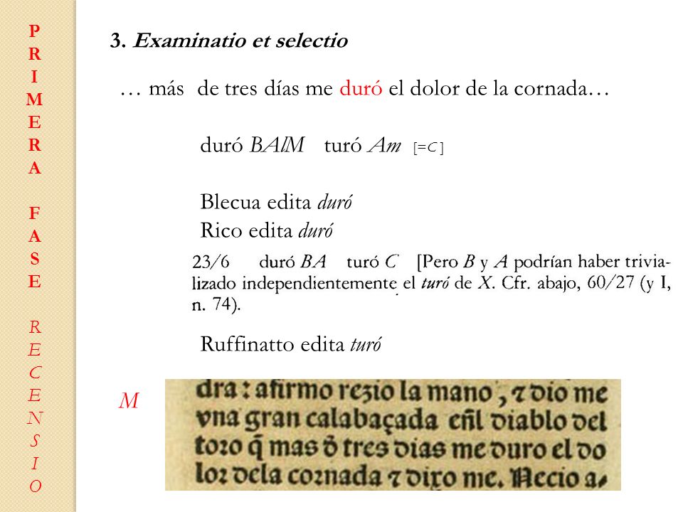 … más de tres días me duró el dolor de la cornada…