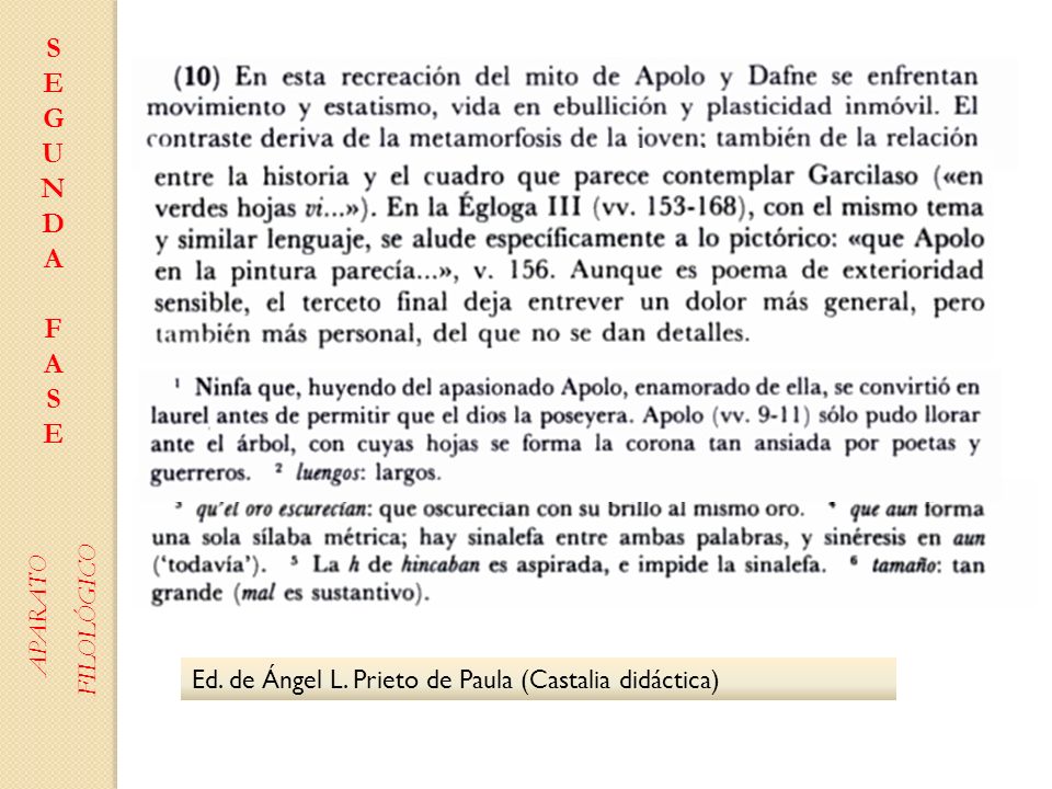 S E G U N D A F FILOLÓGICO APARATO