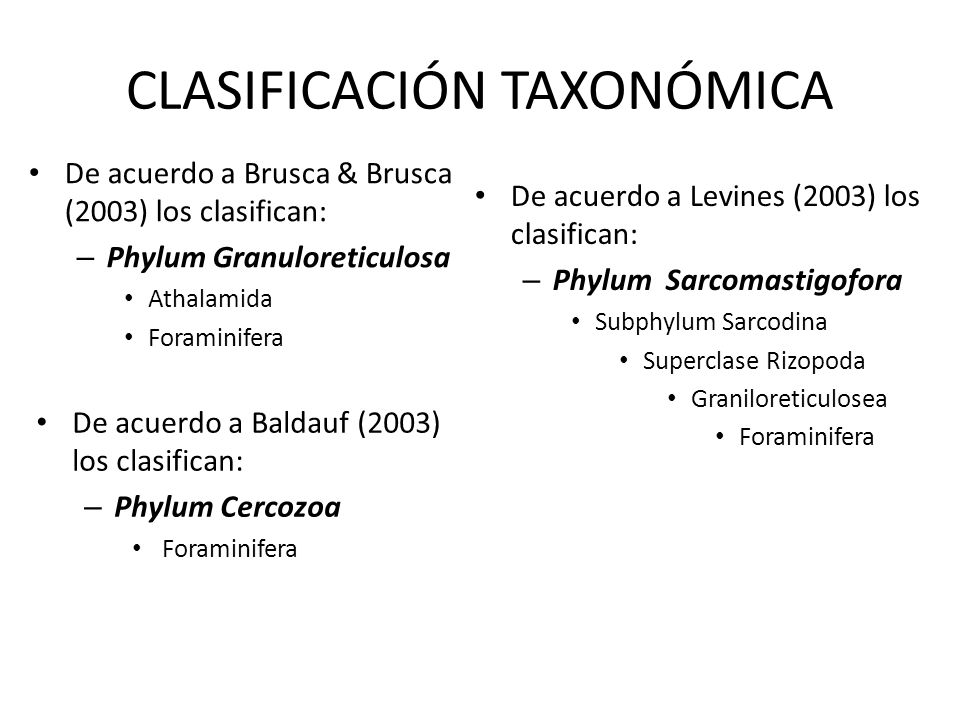 CLASIFICACIÓN TAXONÓMICA