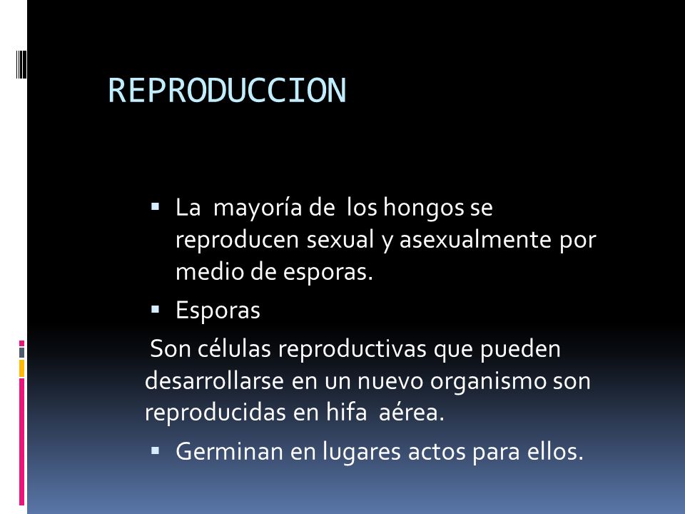 REPRODUCCION La mayoría de los hongos se reproducen sexual y asexualmente por medio de esporas.