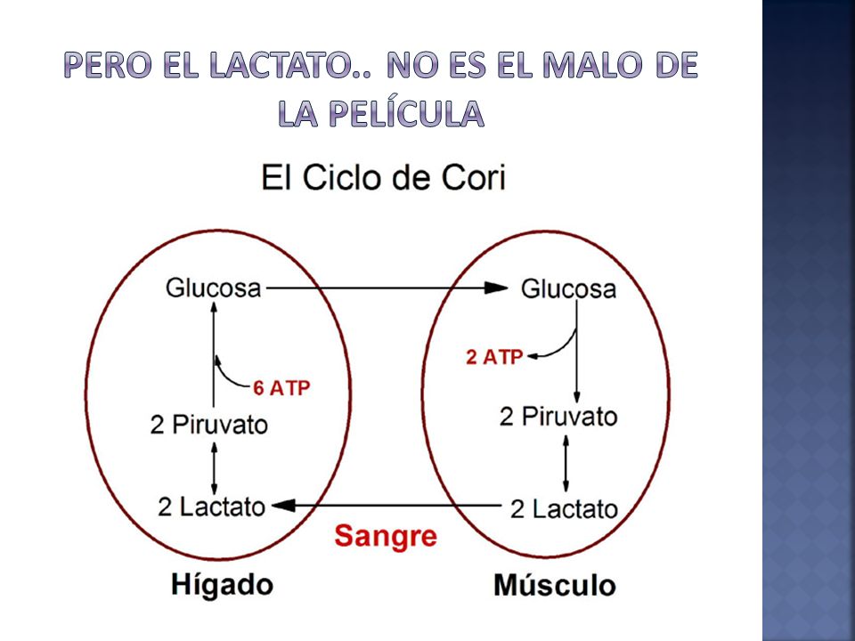 Pero el lactato.. No es el malo de la película