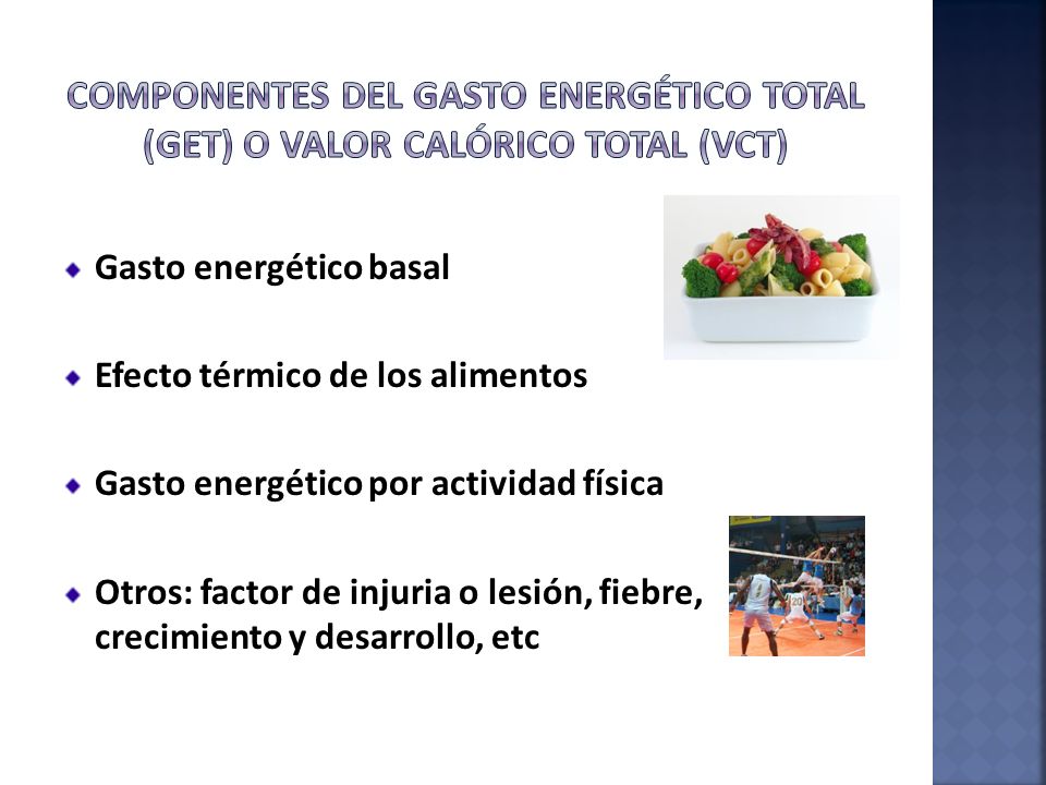Componentes del gasto energético total (GET) o Valor calórico total (Vct)