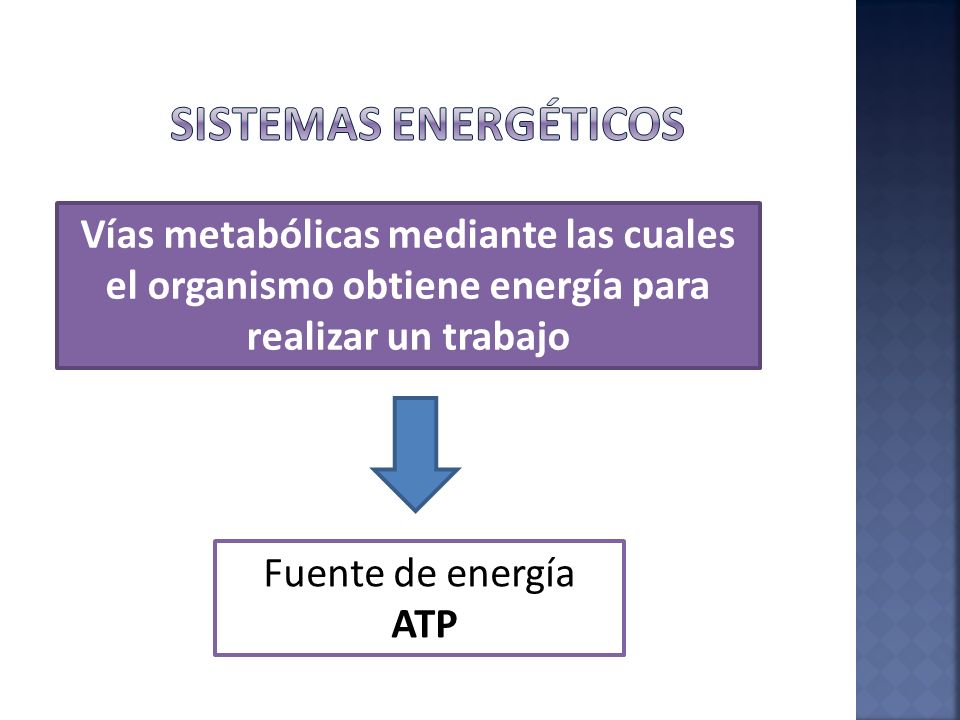 Sistemas energéticos Vías metabólicas mediante las cuales el organismo obtiene energía para realizar un trabajo.