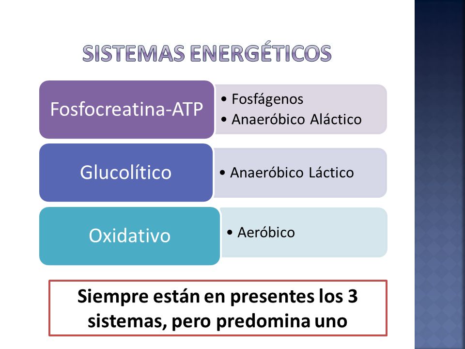 Siempre están en presentes los 3 sistemas, pero predomina uno