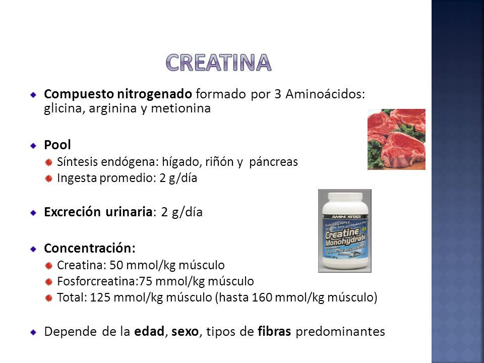 Creatina Compuesto nitrogenado formado por 3 Aminoácidos: glicina, arginina y metionina. Pool. Síntesis endógena: hígado, riñón y páncreas.