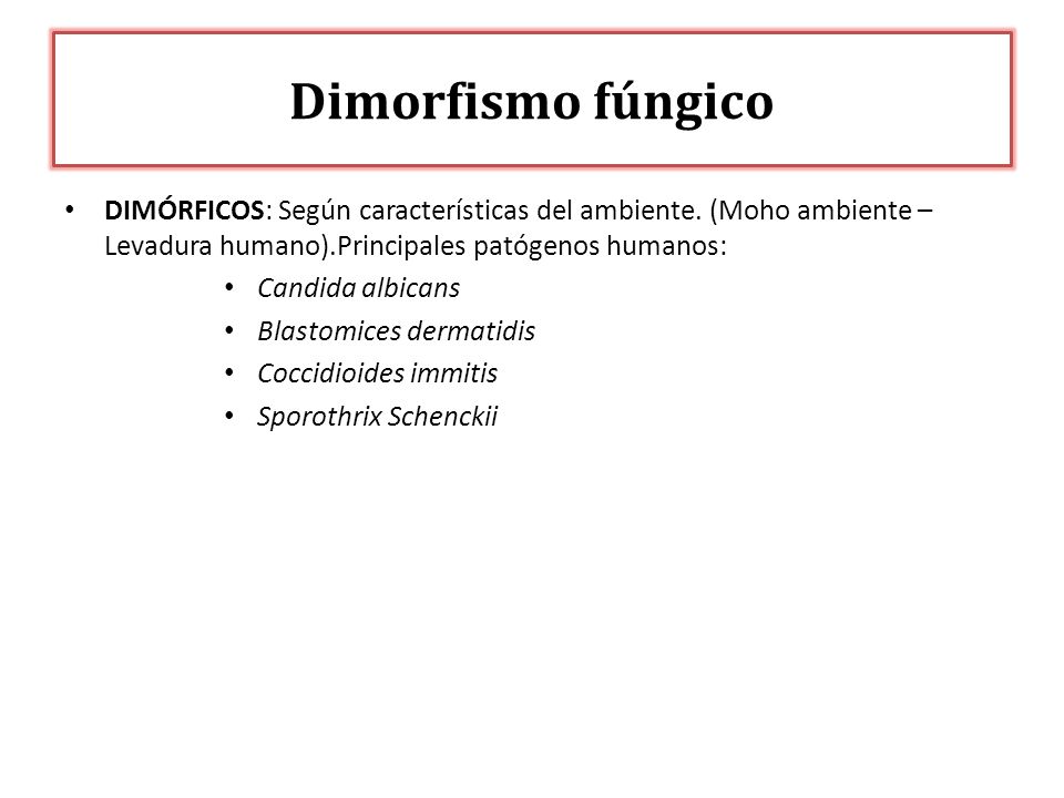 Dimorfismo fúngico DIMÓRFICOS: Según características del ambiente. (Moho ambiente – Levadura humano).Principales patógenos humanos: