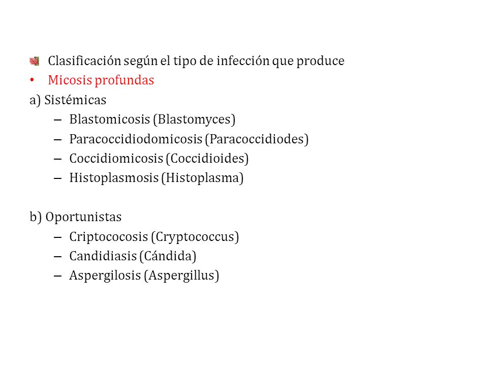 Clasificación según el tipo de infección que produce