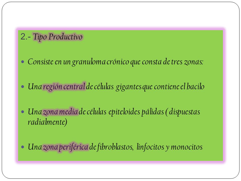 2.- Tipo Productivo Consiste en un granuloma crónico que consta de tres zonas: Una región central de células gigantes que contiene el bacilo.