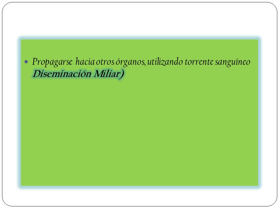 Propagarse hacia otros órganos, utilizando torrente sanguíneo Diseminación Miliar)