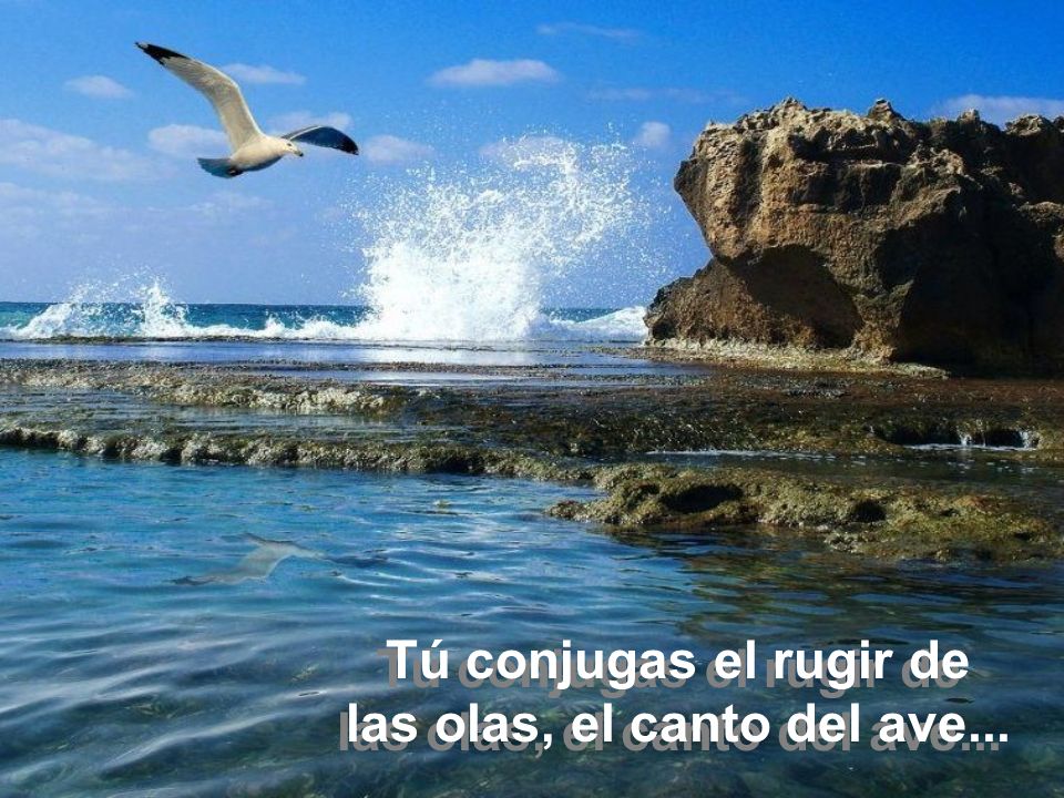 Tú conjugas el rugir de las olas, el canto del ave...