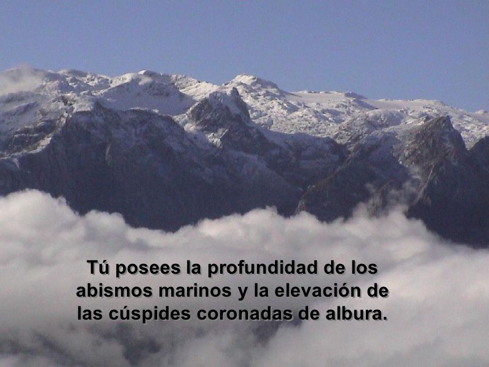Tú posees la profundidad de los abismos marinos y la elevación de