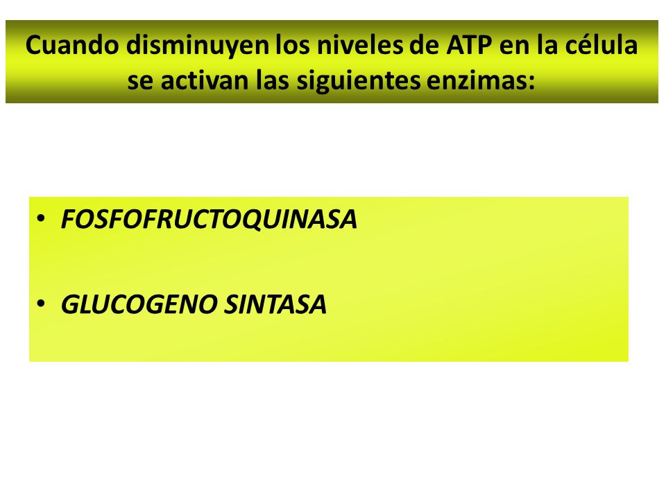 Cuando disminuyen los niveles de ATP en la célula se activan las siguientes enzimas: