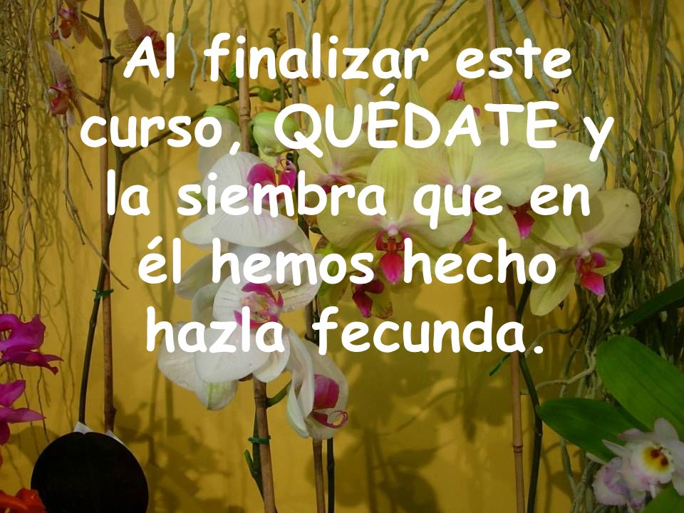 Al finalizar este curso, QUÉDATE y la siembra que en él hemos hecho hazla fecunda.