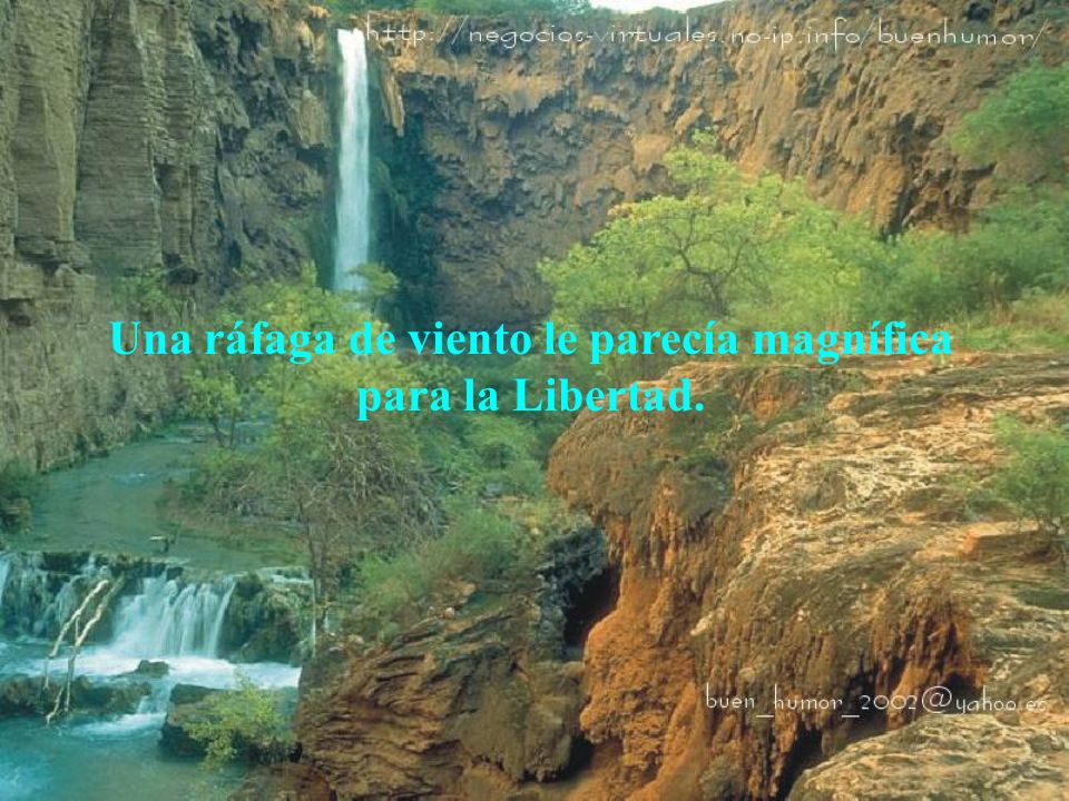 Una ráfaga de viento le parecía magnífica para la Libertad.