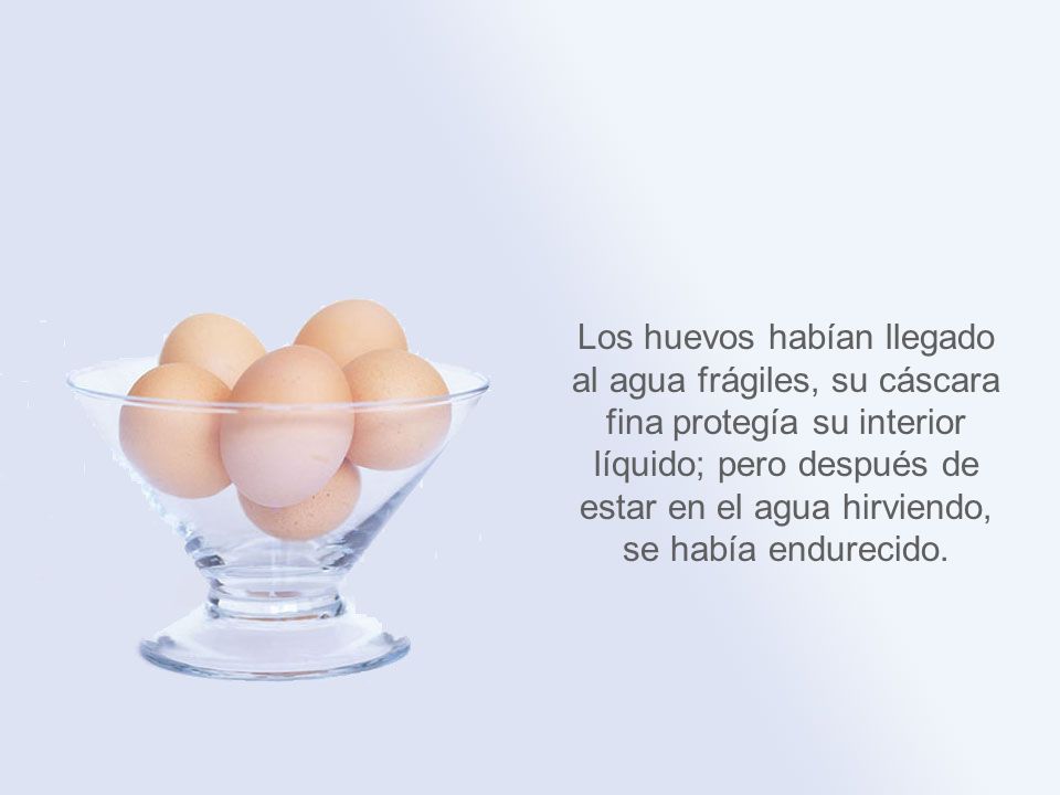 Los huevos habían llegado al agua frágiles, su cáscara fina protegía su interior líquido; pero después de estar en el agua hirviendo, se había endurecido.