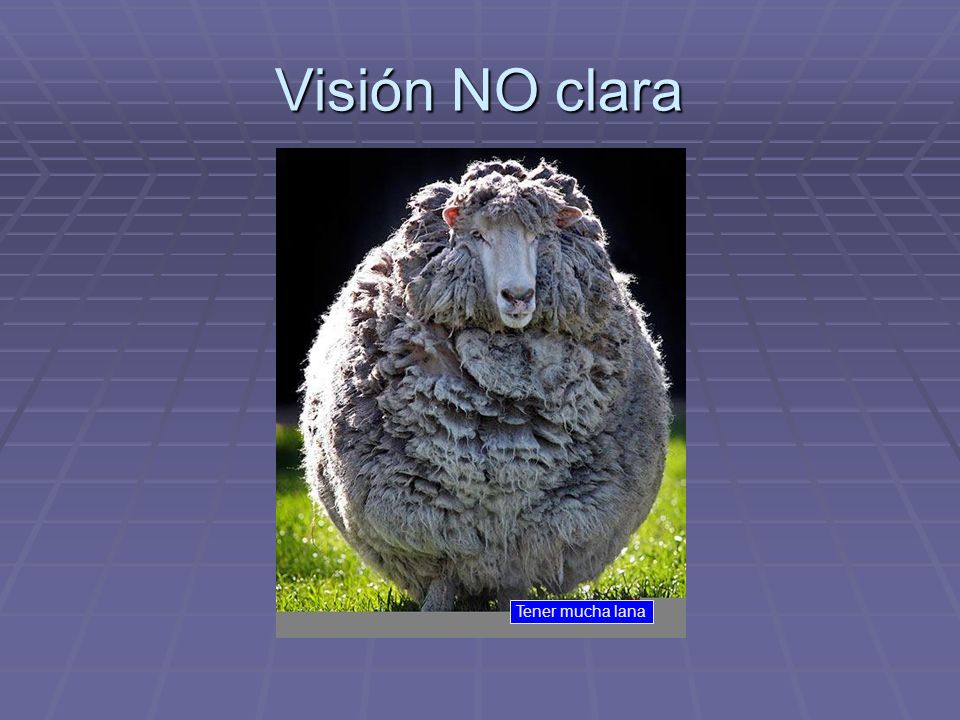 Visión NO clara Tener mucha lana