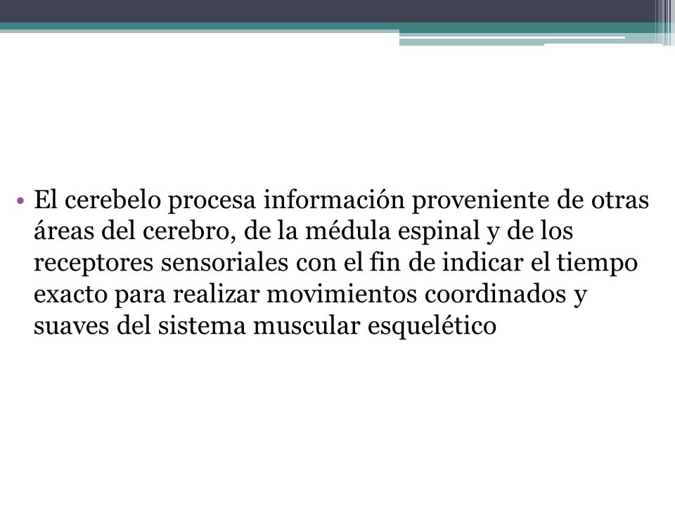 Funciones del Cerebelo