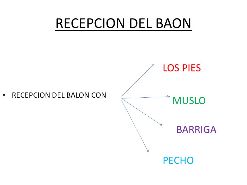 RECEPCION DEL BAON LOS PIES MUSLO BARRIGA PECHO