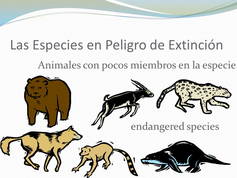 Las Especies en Peligro de Extinción
