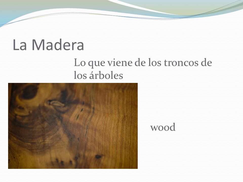 La Madera Lo que viene de los troncos de los árboles wood