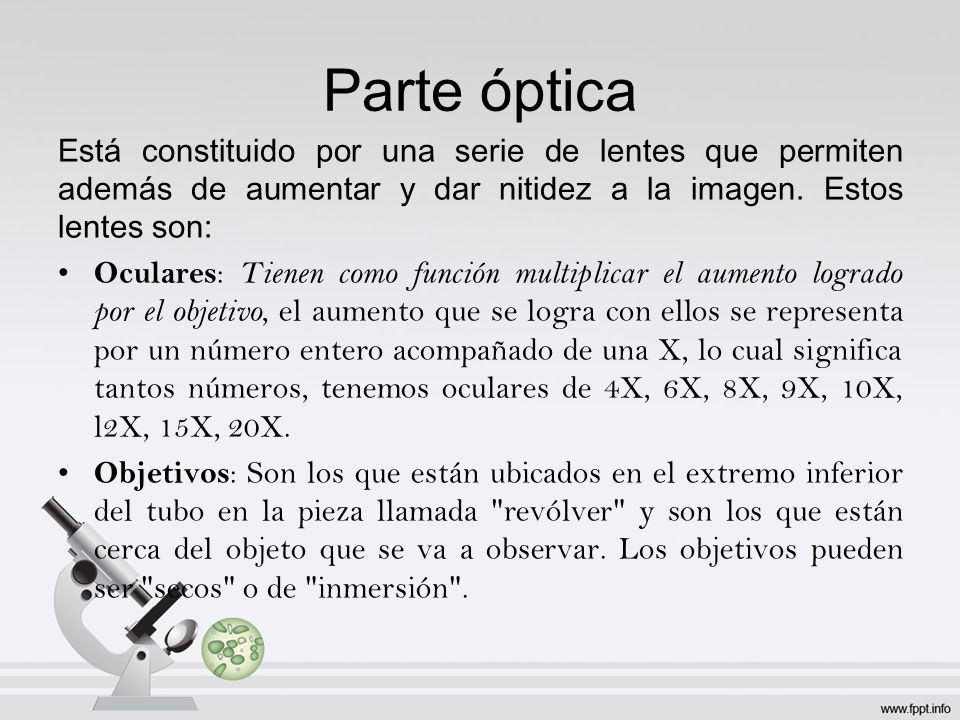 Parte óptica Está constituido por una serie de lentes que permiten además de aumentar y dar nitidez a la imagen. Estos lentes son: