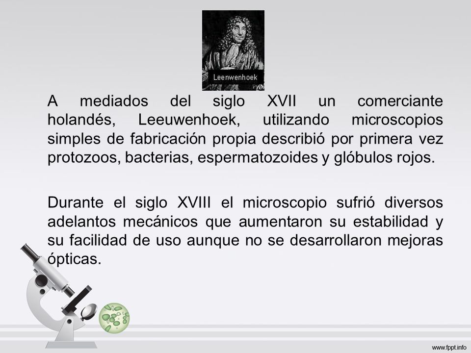 A mediados del siglo XVII un comerciante holandés, Leeuwenhoek, utilizando microscopios simples de fabricación propia describió por primera vez protozoos, bacterias, espermatozoides y glóbulos rojos.