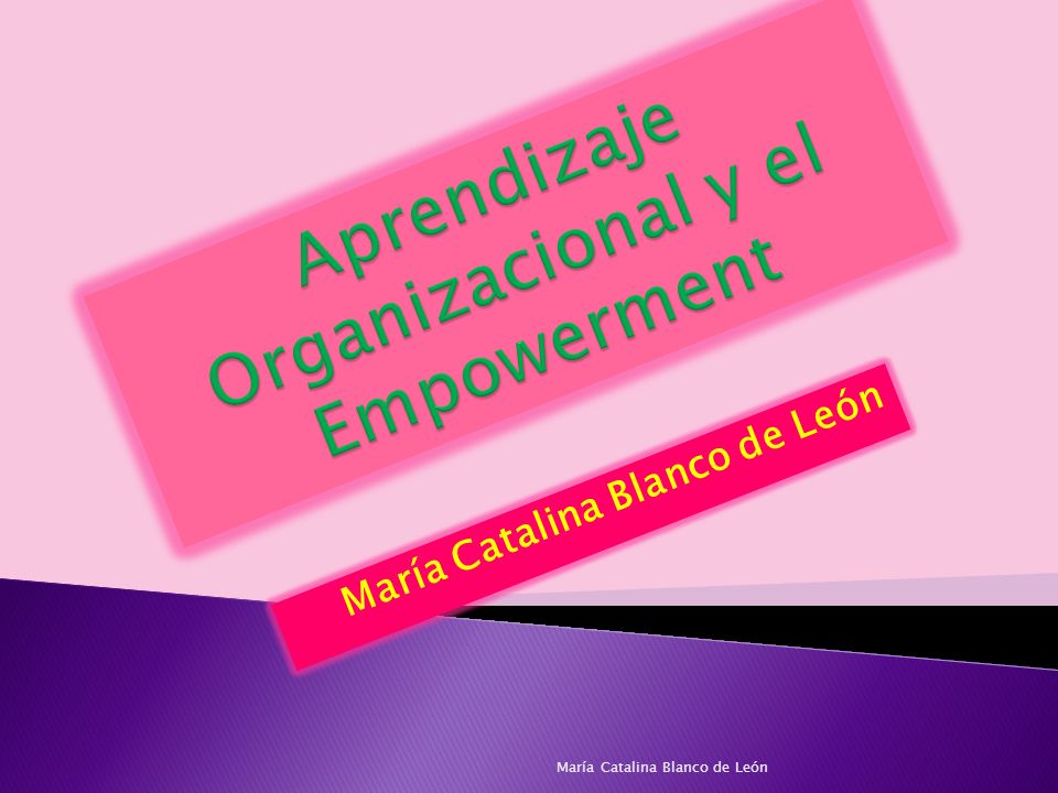 Aprendizaje Organizacional y el Empowerment