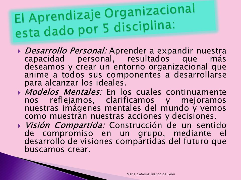 El Aprendizaje Organizacional esta dado por 5 disciplina: