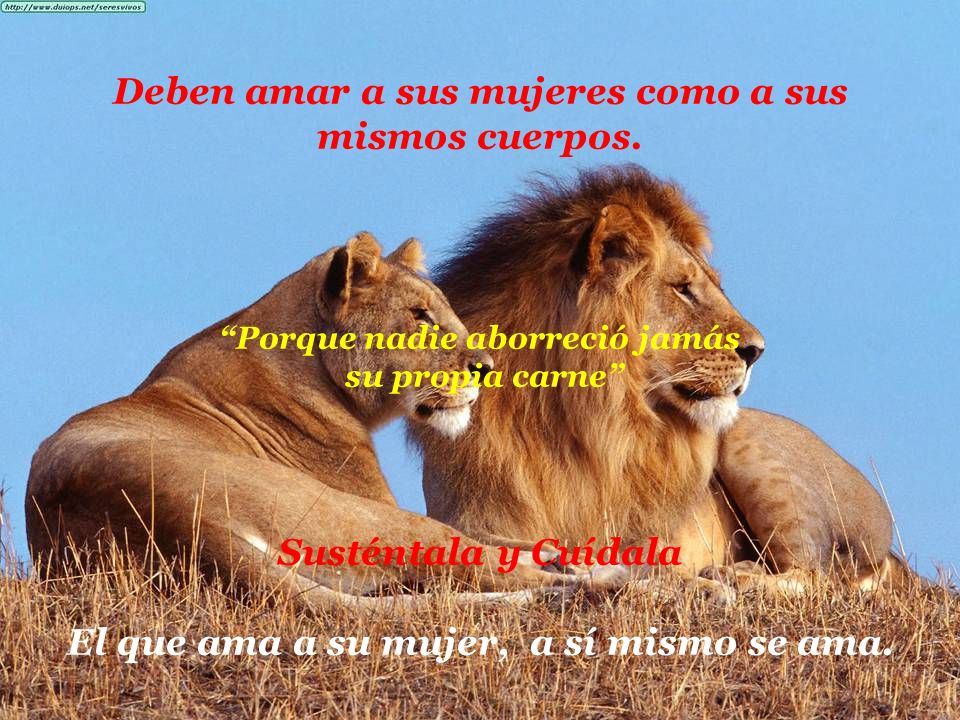 Se paciente con todo el mundo pero sobre todo contigo mismo.