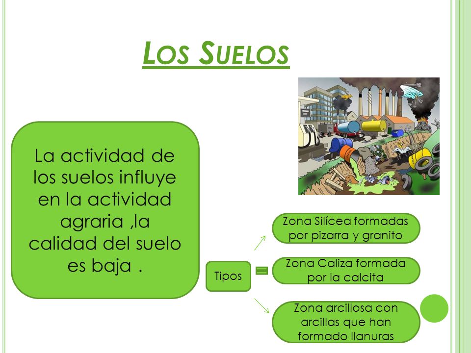 Los Suelos La actividad de los suelos influye en la actividad agraria ,la calidad del suelo es baja .