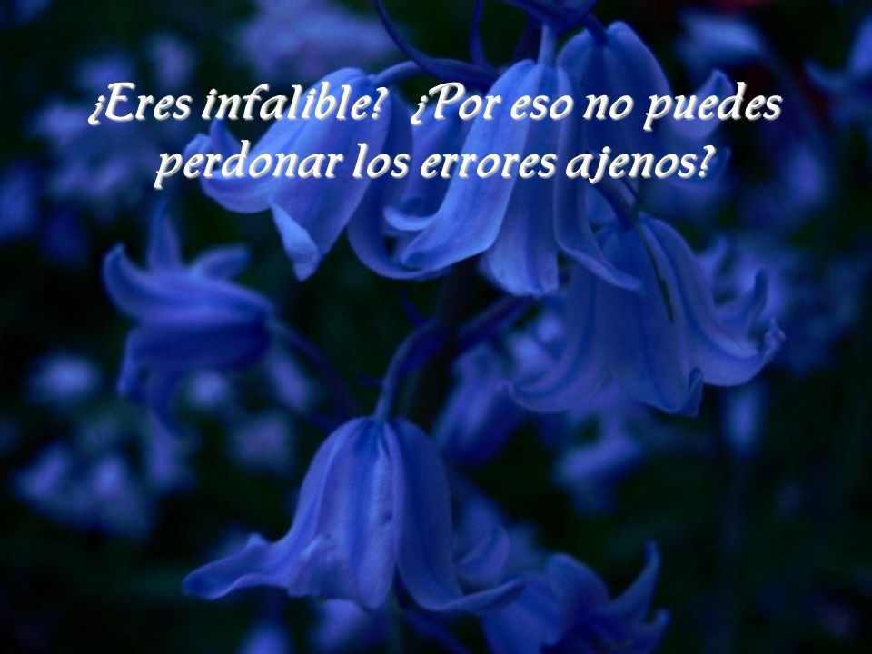 ¿Eres infalible ¿Por eso no puedes perdonar los errores ajenos