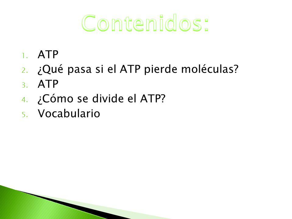 Contenidos: ATP ¿Qué pasa si el ATP pierde moléculas