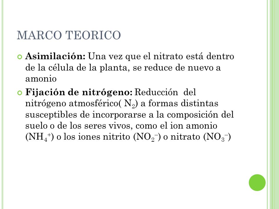 MARCO TEORICO Asimilación: Una vez que el nitrato está dentro de la célula de la planta, se reduce de nuevo a amonio.