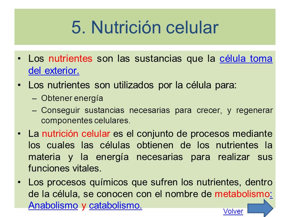 5. Nutrición celular Los nutrientes son las sustancias que la célula toma del exterior. Los nutrientes son utilizados por la célula para:
