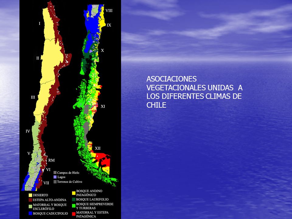ASOCIACIONES VEGETACIONALES UNIDAS A LOS DIFERENTES CLIMAS DE CHILE