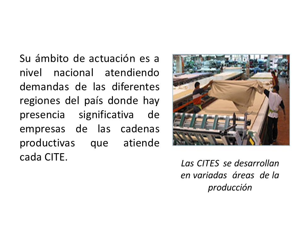 Las CITES se desarrollan en variadas áreas de la producción