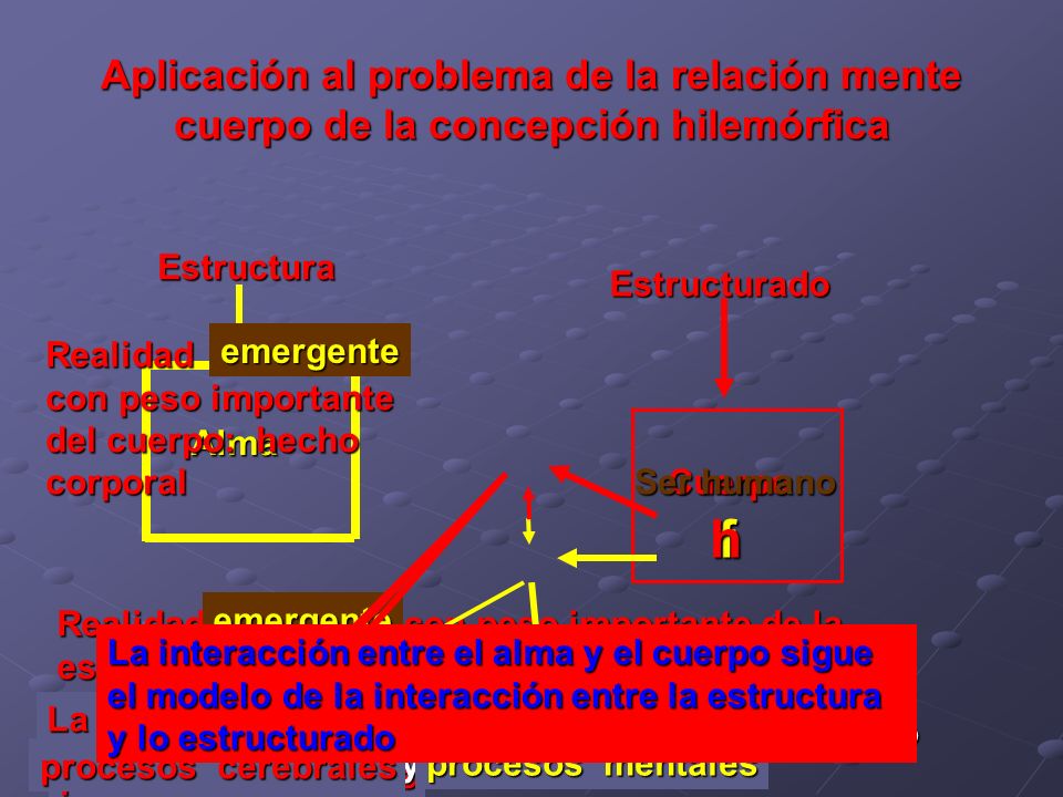 Aplicación al problema de la relación mente cuerpo de la concepción hilemórfica
