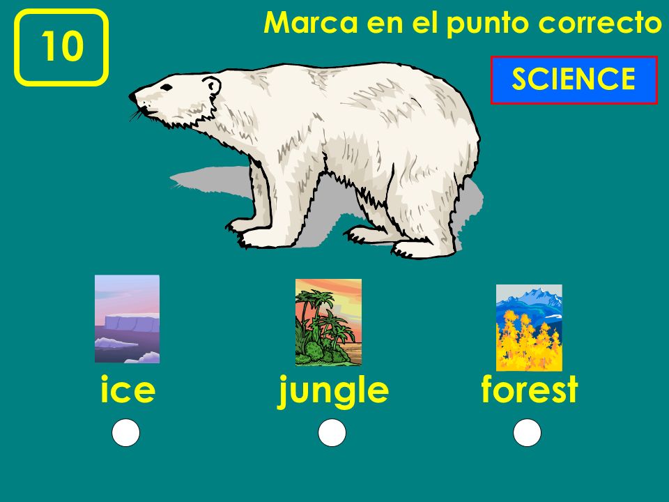 Marca en el punto correcto