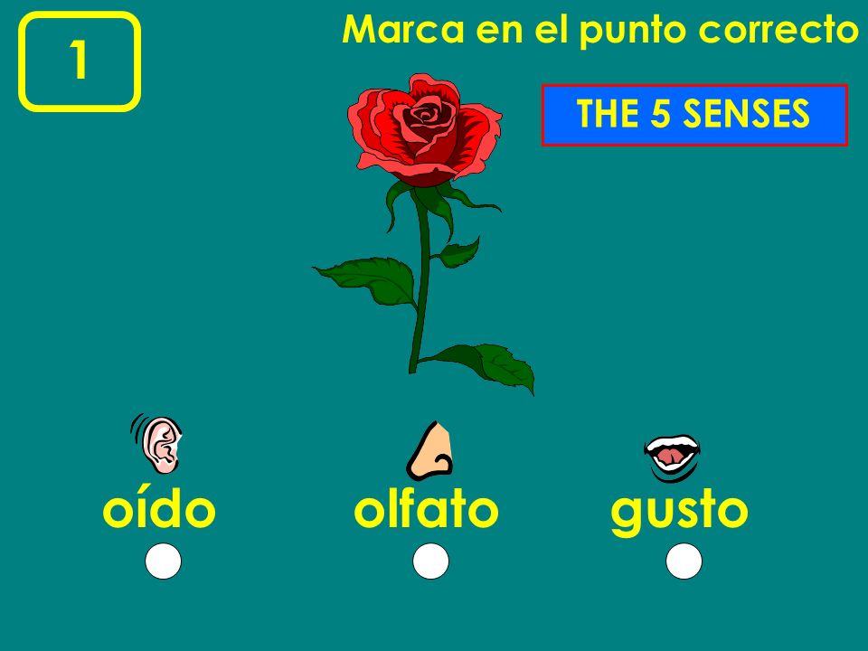 Marca en el punto correcto