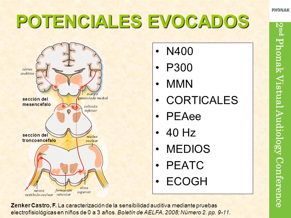 POTENCIALES EVOCADOS N400 P300 MMN CORTICALES PEAee 40 Hz MEDIOS PEATC