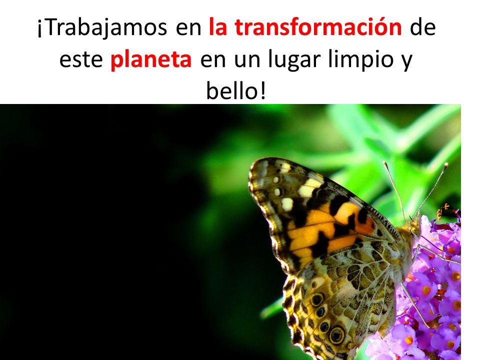 ¡Trabajamos en la transformación de este planeta en un lugar limpio y bello!