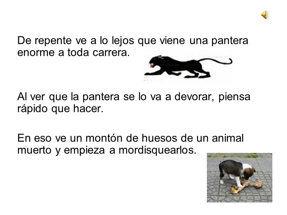 De repente ve a lo lejos que viene una pantera enorme a toda carrera.