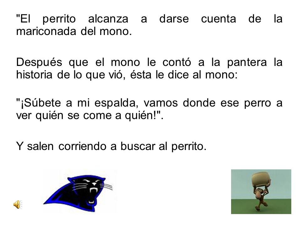 El perrito alcanza a darse cuenta de la mariconada del mono.